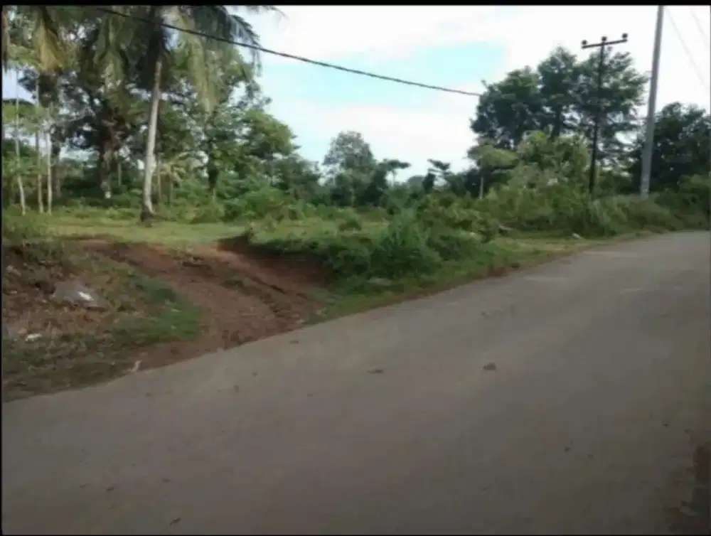 Tanah di Rangkasbitung - Lebak