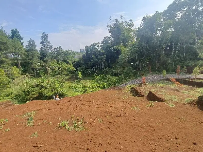 Tanah sangat murah shm di puncak bogor