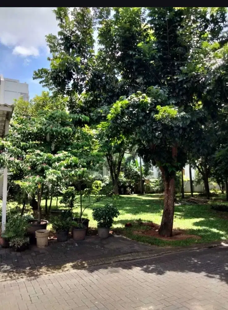 Di jual cepat kavling bagus dan cakep lokasi Bumi serpong damai Trg