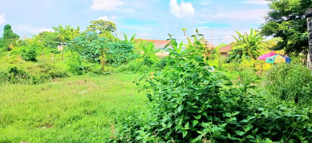 Tanah 3500 M2 Jl By Pass Ngurah Rai Simpang Siur Bali