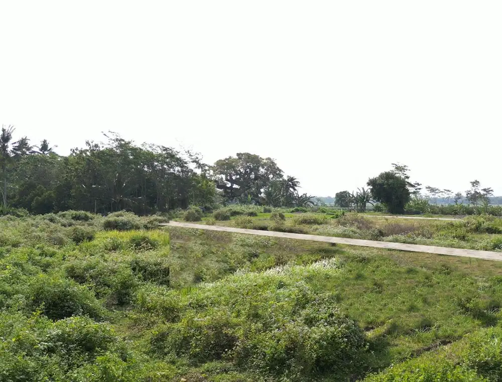 Taman Bunga Kulon Progo; Dekat Tempat Wisata