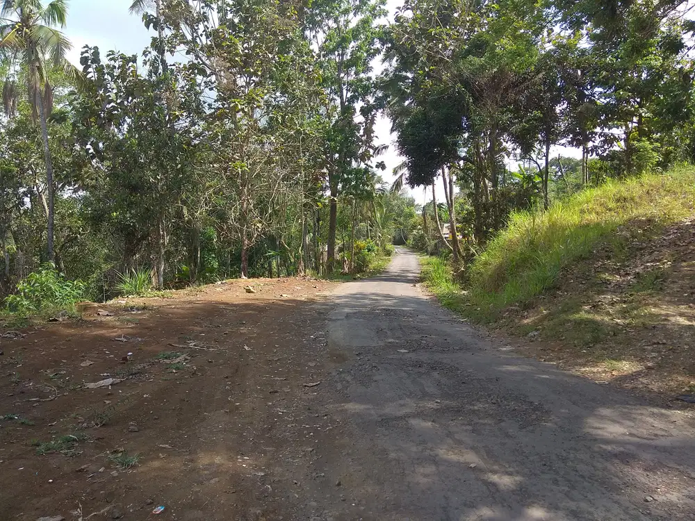 Dijual tanah 25,9 are di Apuan Senganan dekat WET hot spring ,Jatiluwih