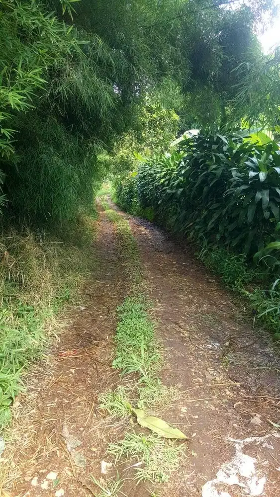 Tanah Matang Murah Mainroad Strategis dekat Stasiun KCIC Cileunyi