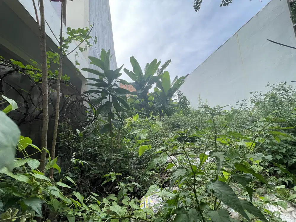 Dijual cepat murah BU tanah luas strategis di Cilandak Jakarta Selatan