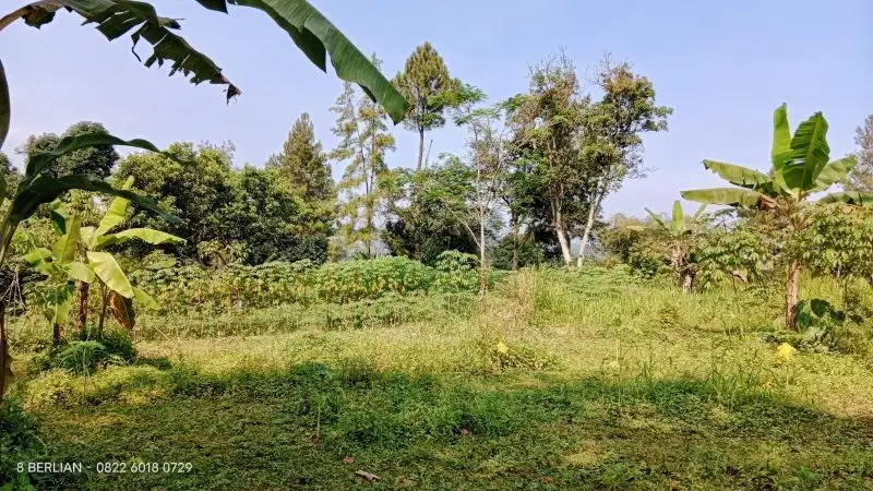 JUAL LAHAN MURAH DEKAT MATA AIR DI MEGAMENDUNG BOGOR