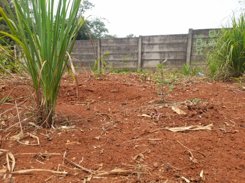 Kavling Siap Bangun Kota Wisata Indah Dekat Tol Nagrak