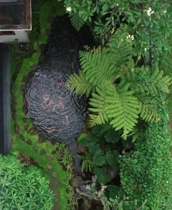 Dijual Perumahan Mewah Tanjung Mas Raya jakarta selatan