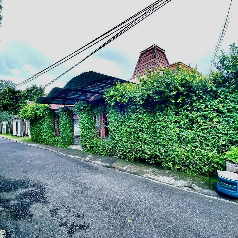 Rumah limasan Full jati plus Kost2 an aktif di Solo Kota