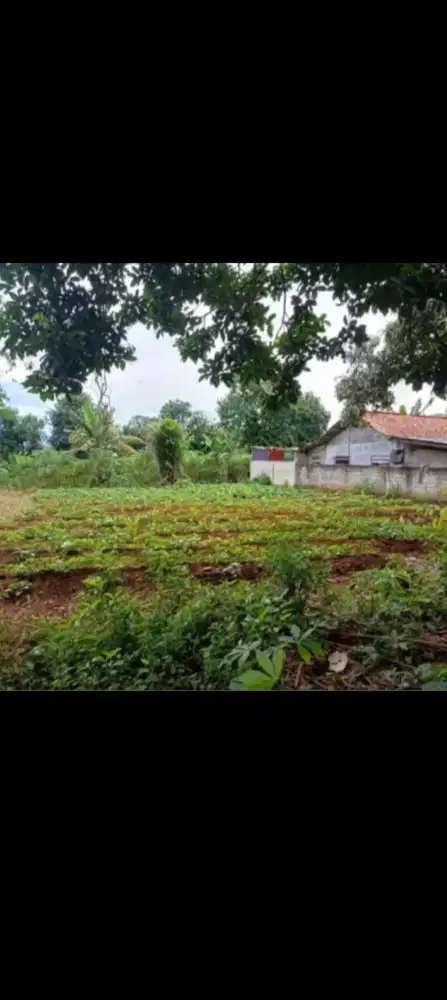 JUAL TANAH CILEUNGSI