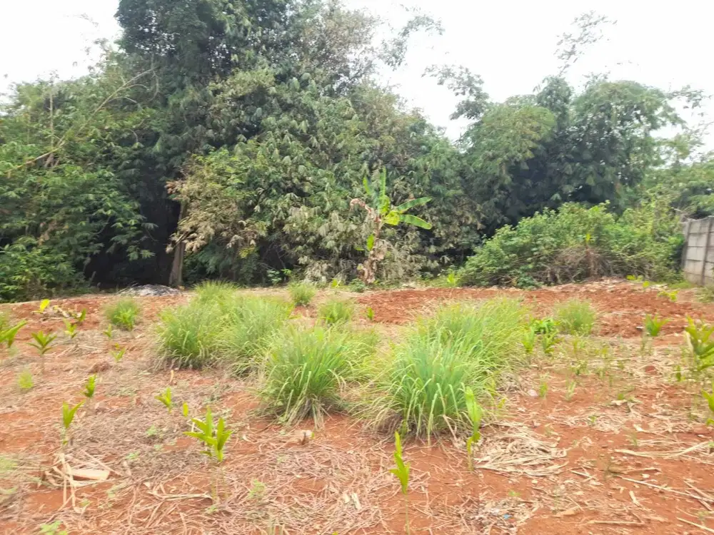 Tanah Kavling Kota Wisata Indah Lokasi Dekat Kota Cibubur