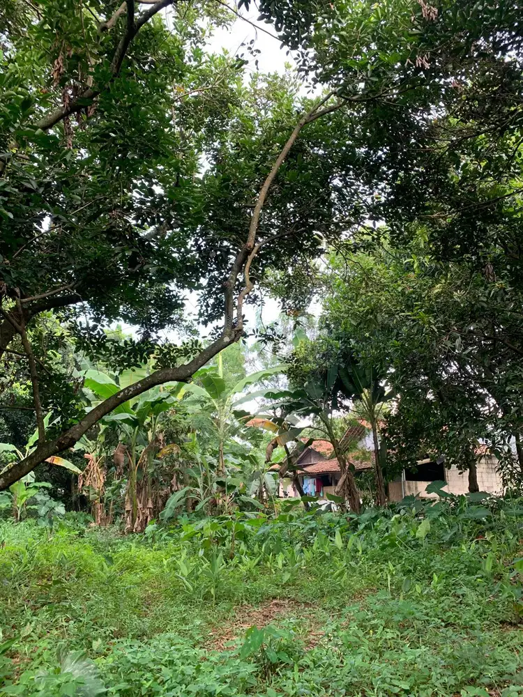 Investasi Kavling Nyaman di Cikeas Asri, Lokasi Dekat Tol