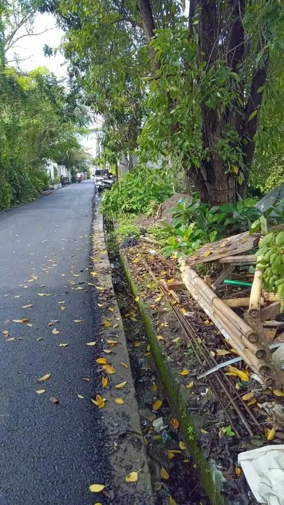 Tanah Pererenan Canggu Badung
