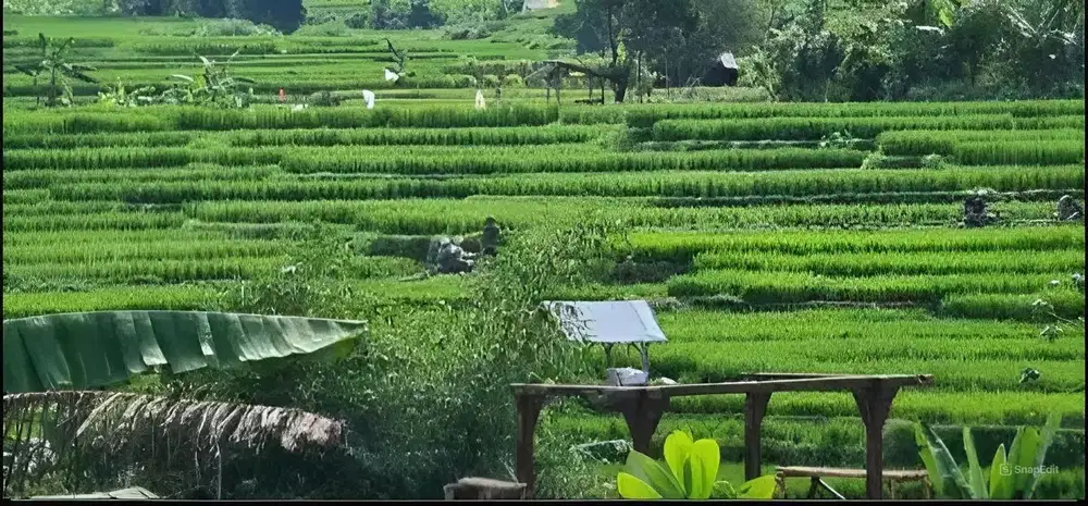 Jual Kavling Strategis view Hamparan Sawah/Bukit di Tanjungsari Bogor