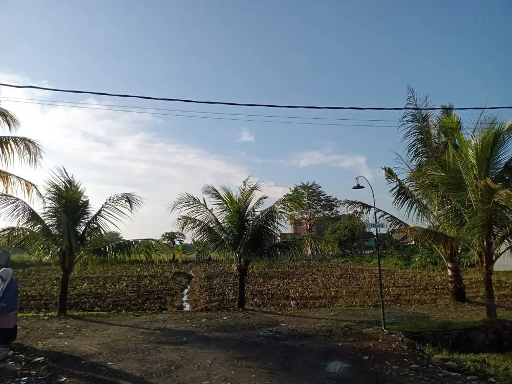 Kavling Matang Siap Bangun Dramaga, SHM, Potensial Kost Mahasiswa