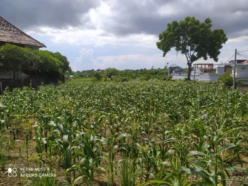 Tanah view laut 9 are di jl Padang Galak dkt Sanur,Renon,By Pass Ngurah Rai