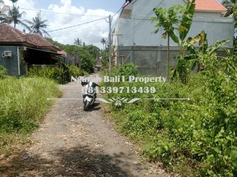 Dijual Tanah Murah Luas 340 m2 Kawasan Villa di Ubud