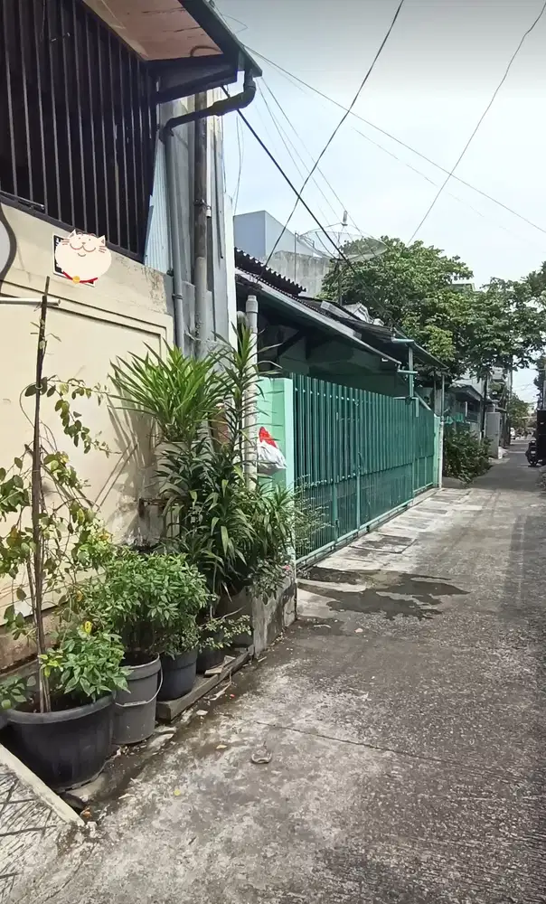 Rumah nyaman siap huni jual murah di Pademangan Timur Jakarta Utara