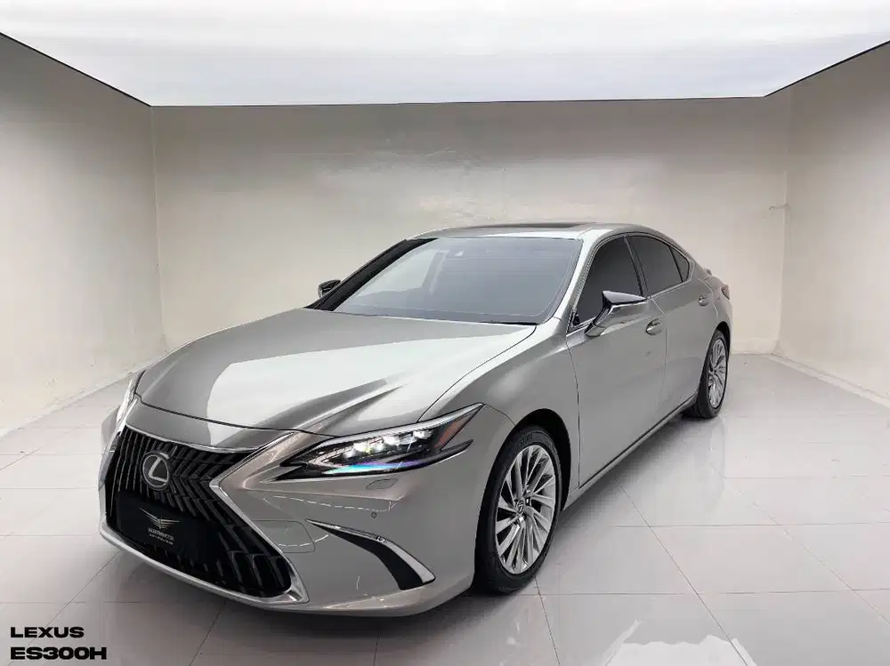 Lexus ES300h Hybrid Ultra Luxury ATPM