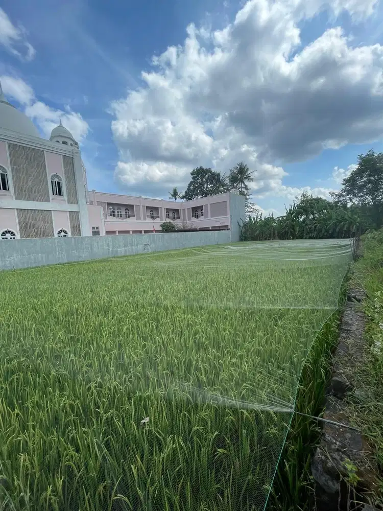 Dekat Maguwoharjo Kavling Strategis Legalitas Siap Bangun