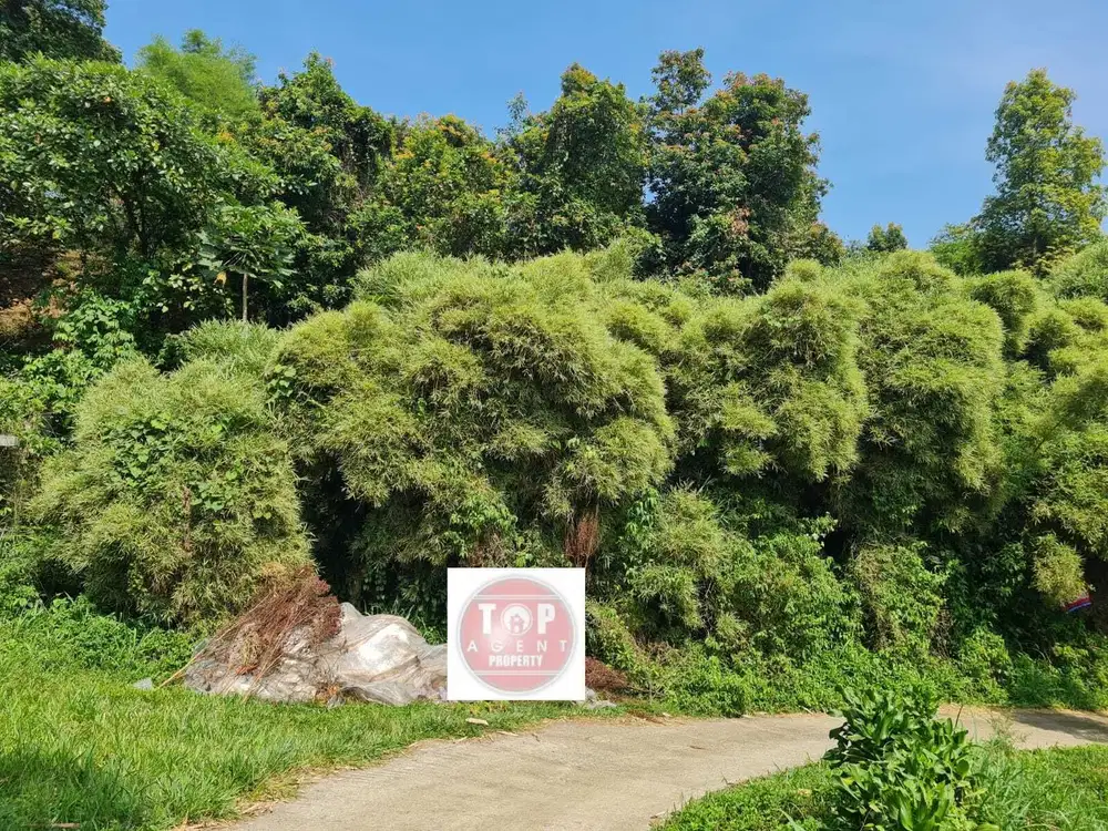 JUAL SEGERA Tanah terasering, view pegunungan, Pondok Bitung, Cijeruk