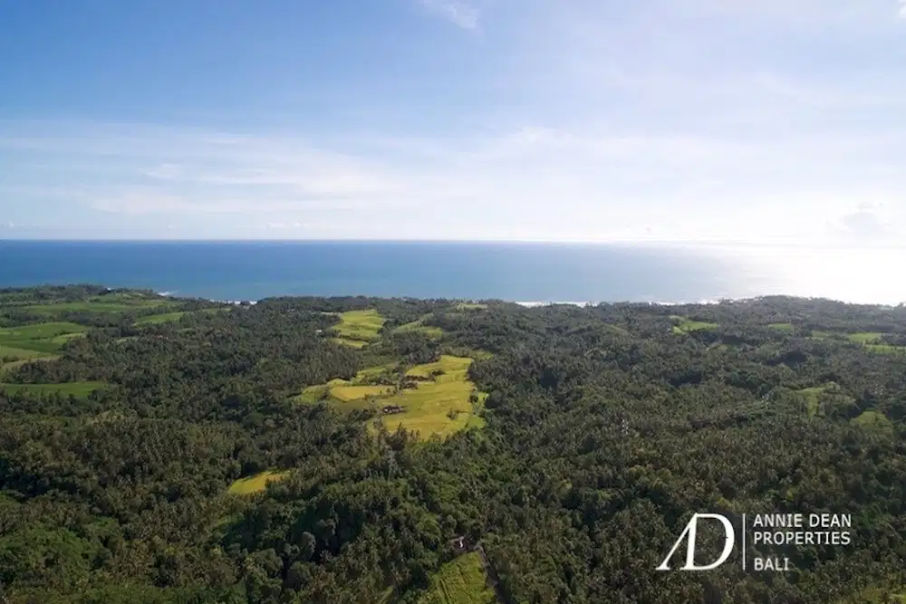 FREEHOLD LAND INVESTMENT IN ANTOSORI SELEMADEG TABANAN