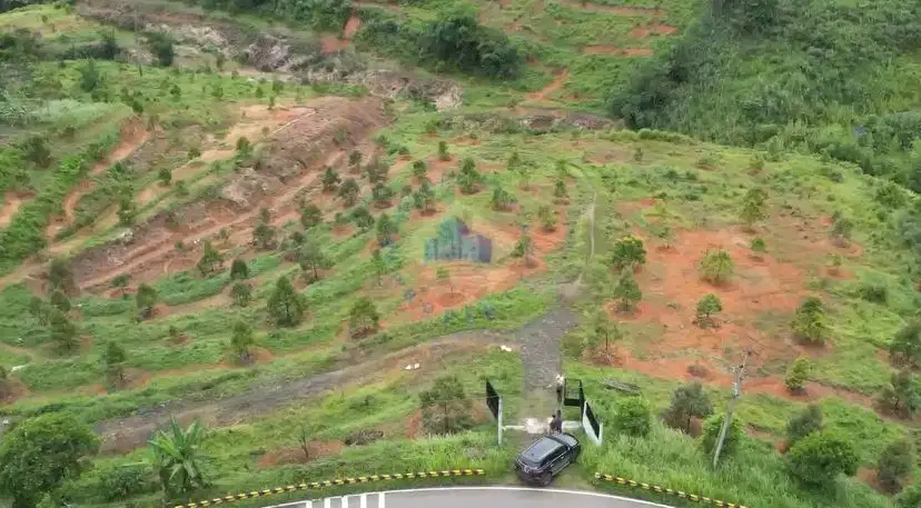 Jual Tanah Perkebunan di Jl Raya Jasinga Bogor Jawa barat