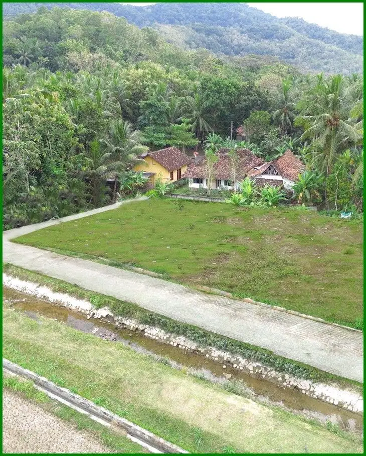 Temon Kulon Progo, Tanah Jogja Dekat Bandara YIA Untuk Rumah