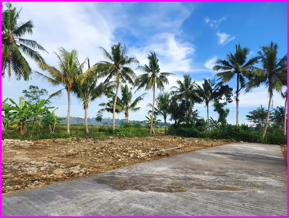 Dekat Bandara YIA Kavling Strategis Siap Bangun Kulon Progo