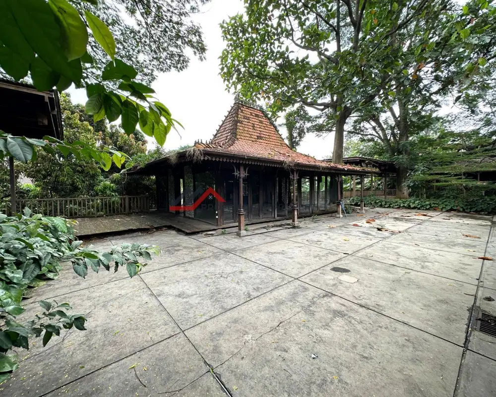 Rumah Menarik Di Bawah NJOP Di Kemang