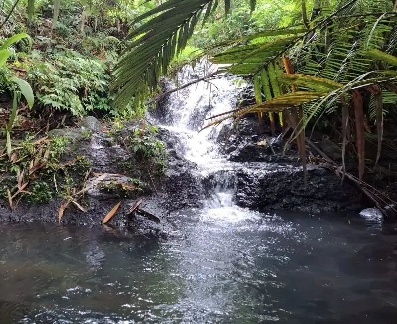 Kebun los sungai jernih berisi air terjun mini yang menarik