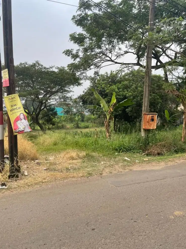 Tanah 1489 m2 di Pinggar Jalan Pabuaran, Kemang Bogor Harga Nego