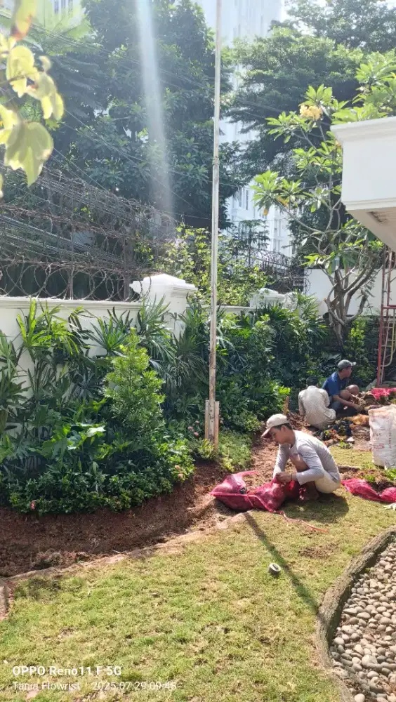 Jasa pembuatan taman natural - jasa pembuatan taman beli