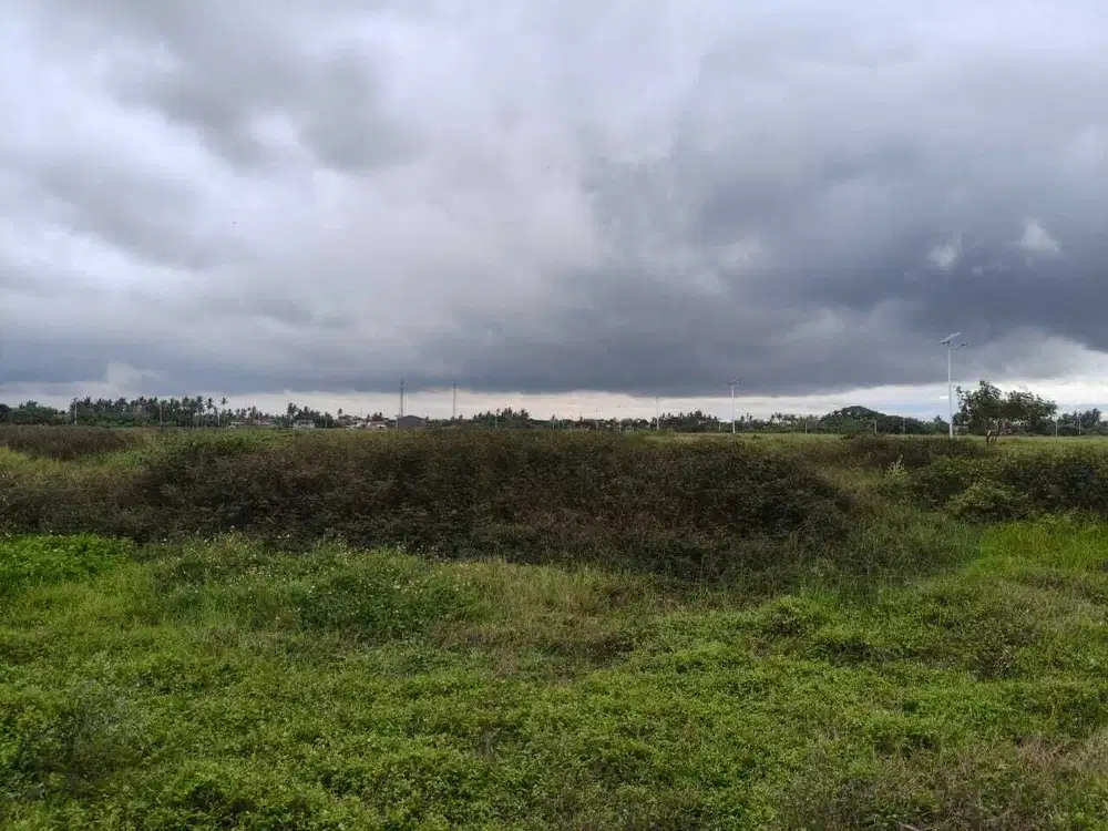 Dijual Cepat Tanah Tegal Alur Dibawah NJOP Siap Bangun