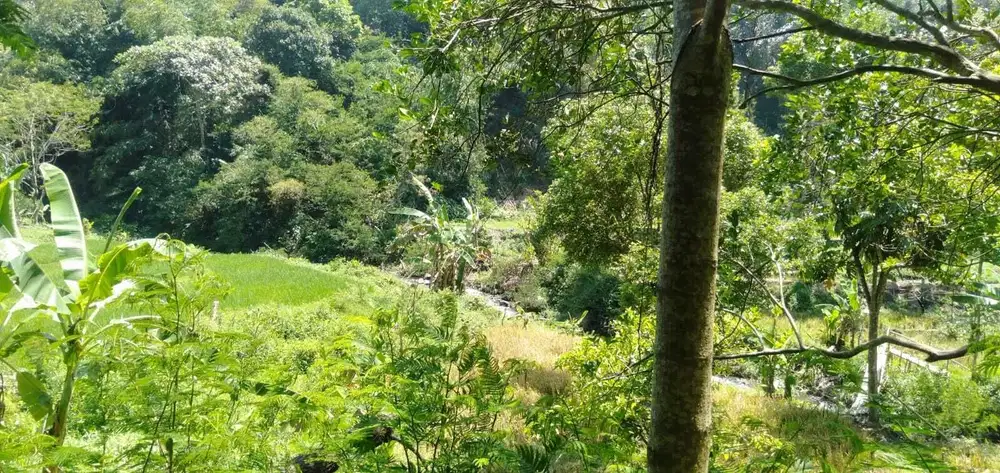 Dijual Cepat Tanah Wisata Bumi Titi Murah Siap Bangun