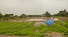 Lahan Dijual Cepat Di Jl. Raya Serang, Cikarang, Cibarusah