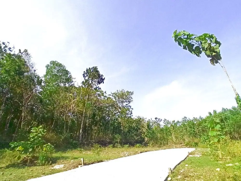 Gotakan Kulon Progo, Tanah Yogyakarta Dekat Bandara YIA