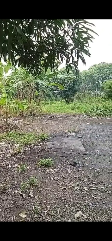 Dijual Tanah Hook Taman Semanan.