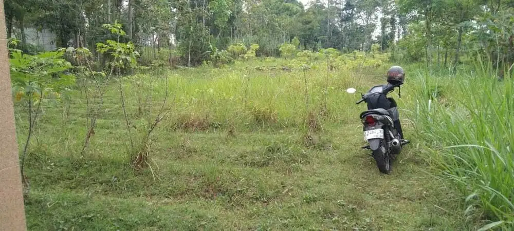 Tanah SHM di Singosari Malang cocok untuk hunian dekat Fasum