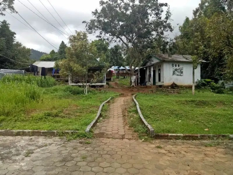 Tanah Pinggir Jalan Desa Bonus 70 Domba Kambing