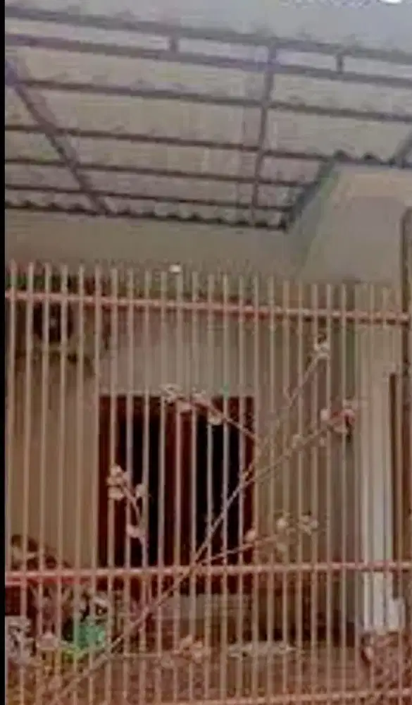 BRAND NEW HOUSE NUSALOKA BSD TANGSEL