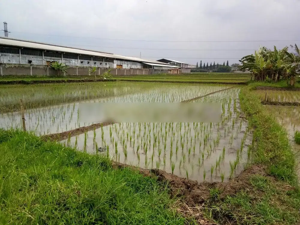Dijual Tanah Area Industri Siap Bangun Area Cimareme Bandung Barat