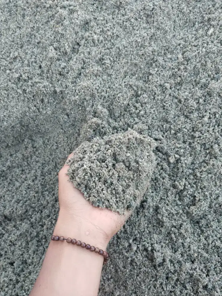 Pasir plester Rangkas