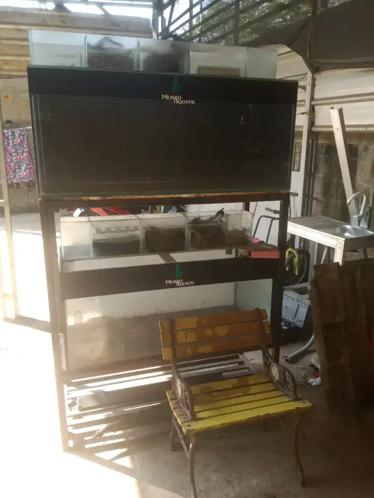 Akuarium dan rack
