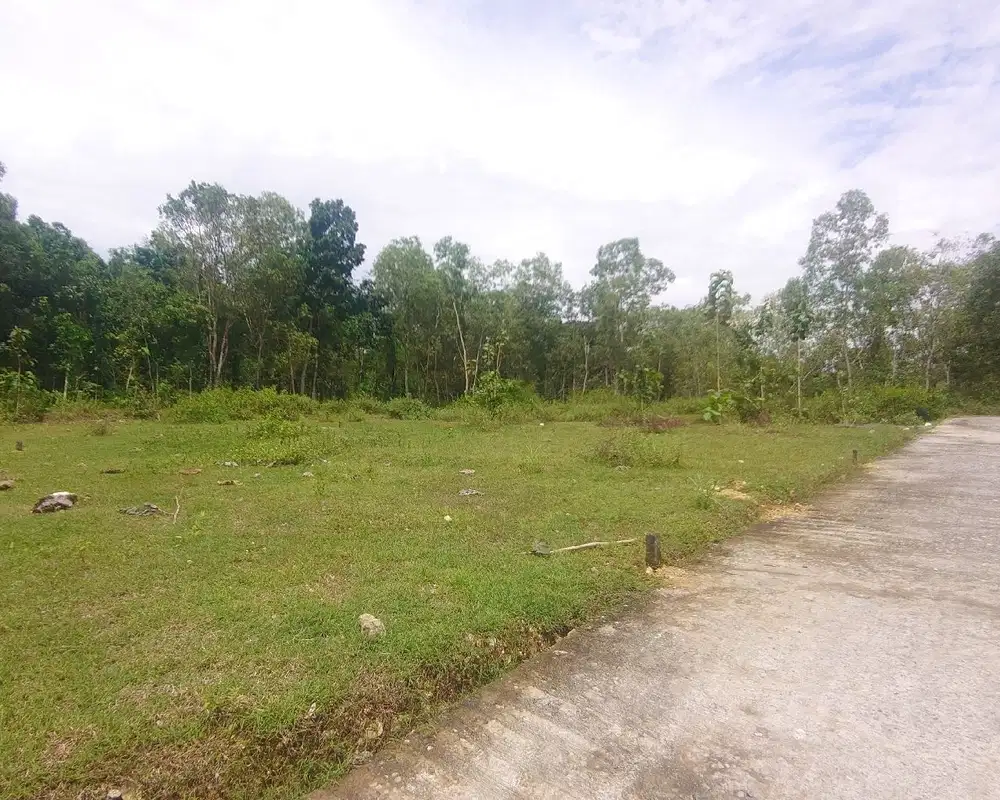 Iklan Tanah Kulon Progo Dekat UNY Wates