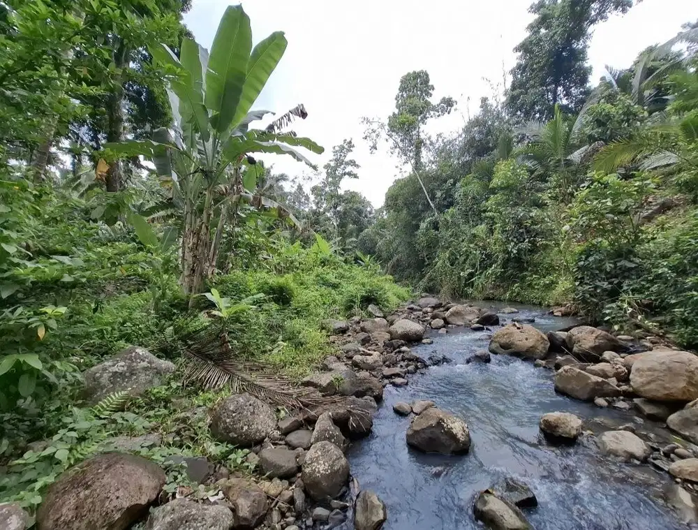 Tanah murah los sungai berbatu di selemadeg tabanan Bali