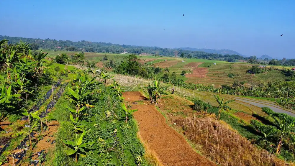 Dijual Murah Tanah 930 m2 Pemandangan Bagus di Bojong Purwakarta