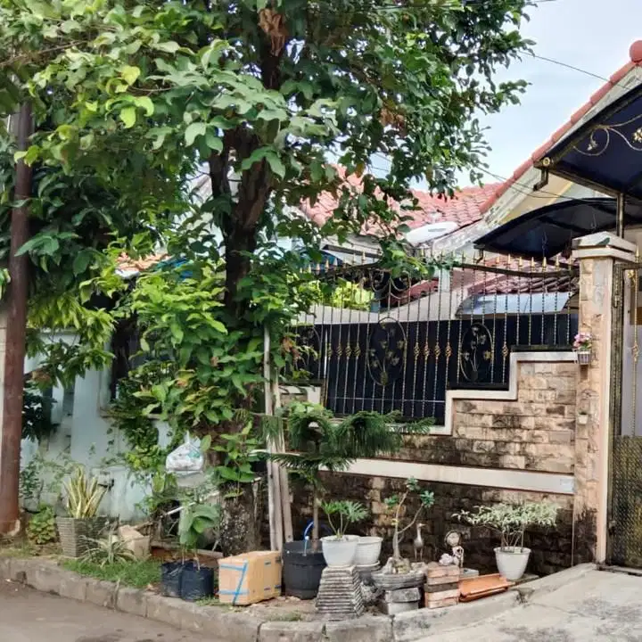 RUMAH BAGUS MURAH TERJANGKAU ALAM RAYA TANGERANG