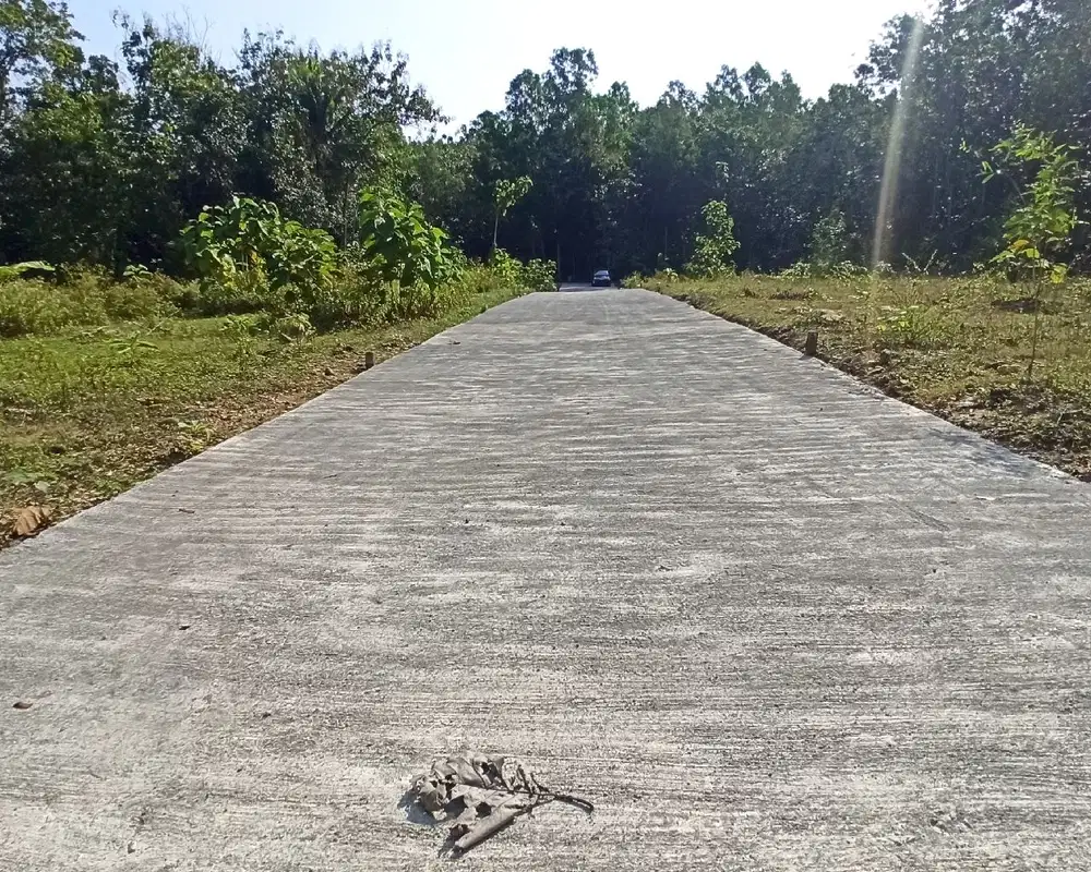 Tanah Dekat Samsat Kulon Progo Terbaru