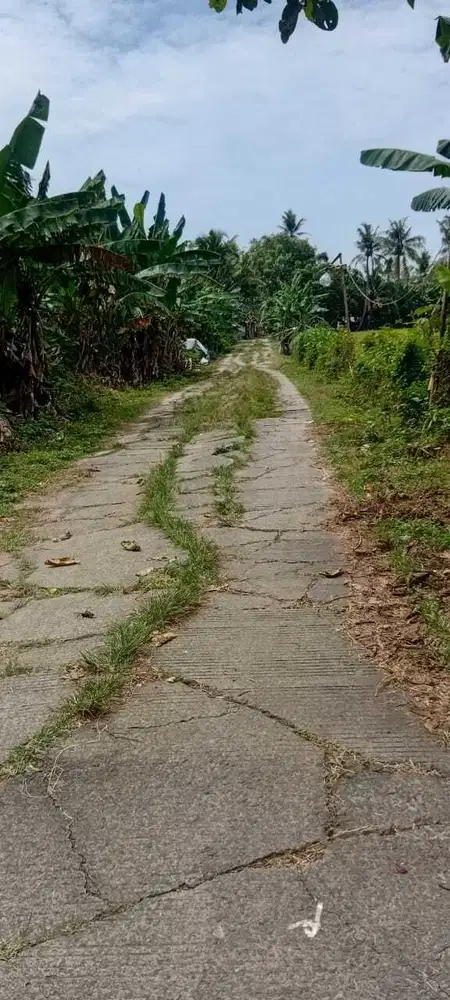 Dijual tanah di Balaraja, Tangerang.