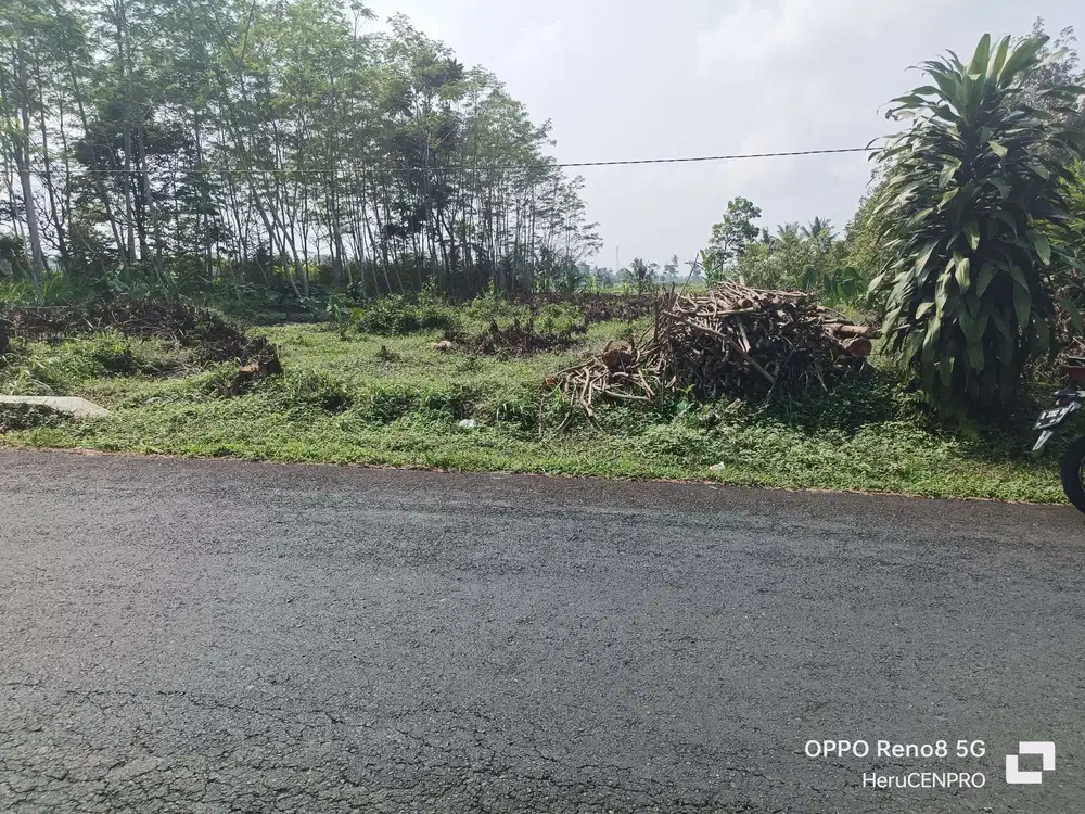 Tanah 1792 m nuansa pedesaan Jln Karangturi Susukan Sumbang Banyumas